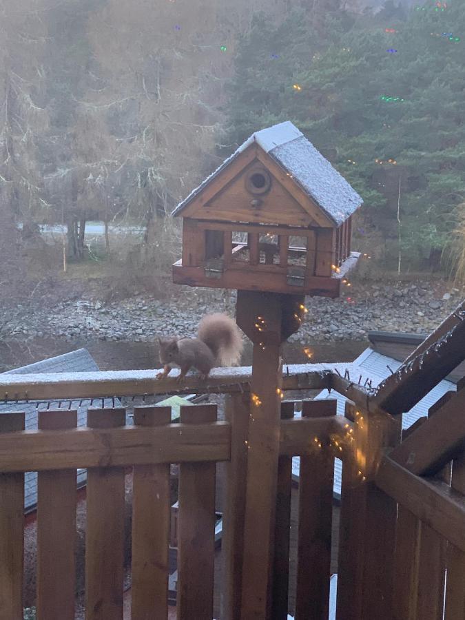 Beautiful 2 Bedroom Lodge With Stunning Views Blair Atholl Eksteriør bilde